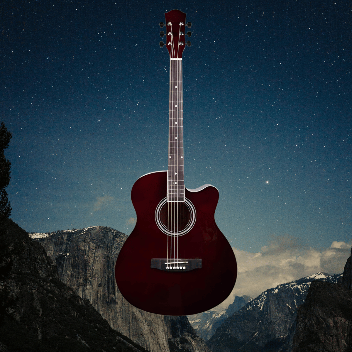 acoustic guitars