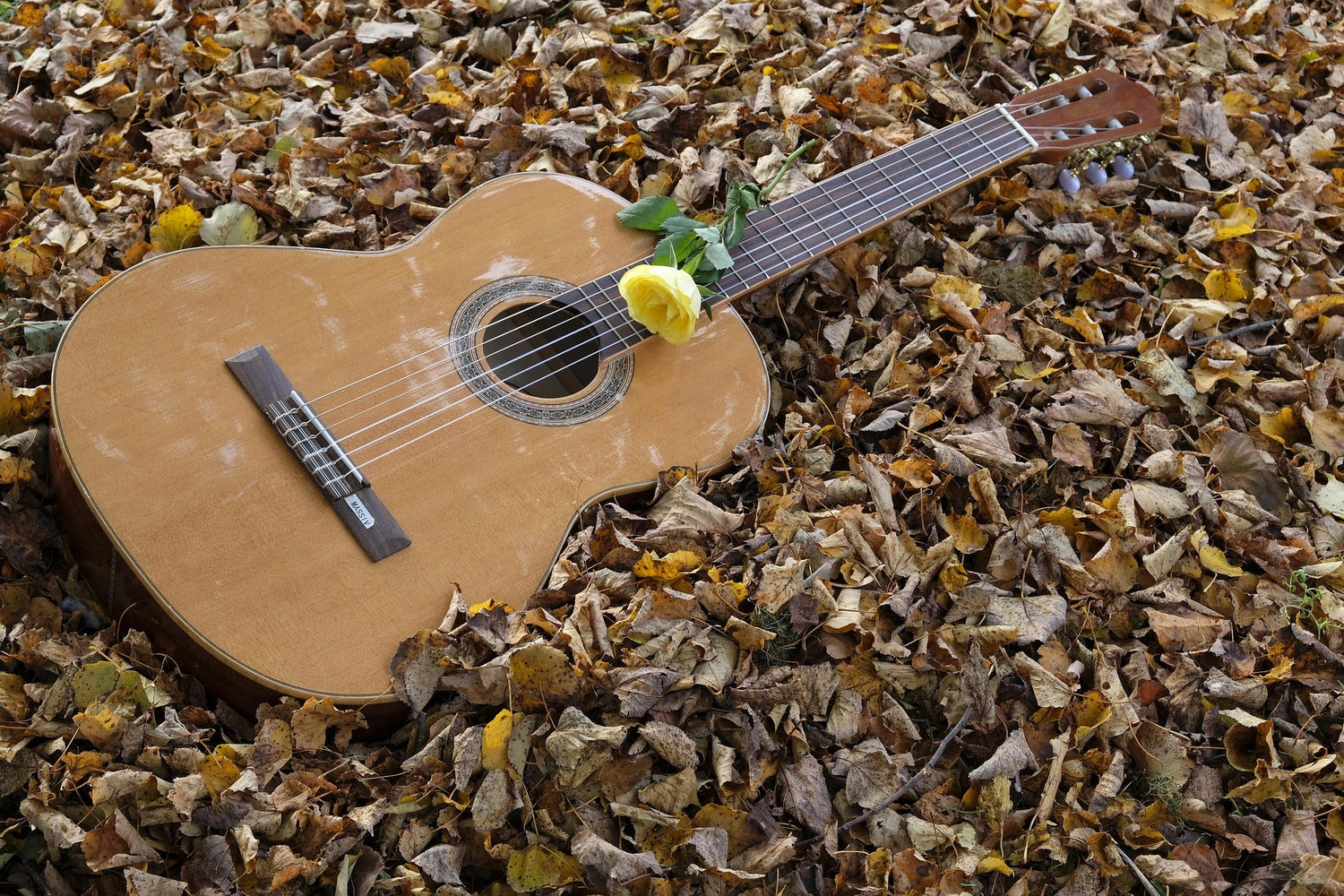 guitars