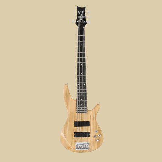 6 String H-H Pickup Electric Bass Guitar