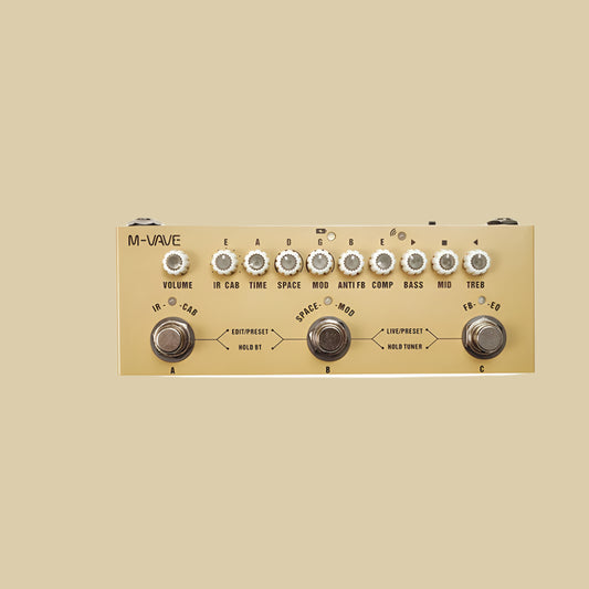 Rechargeable Multi Effects Pedal